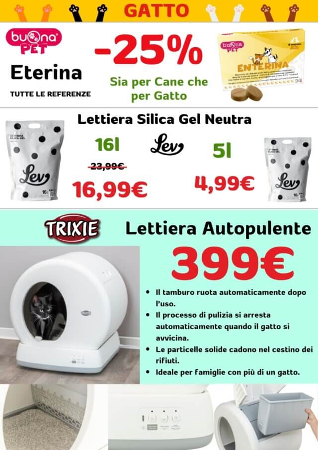 Volantino Fidomania Giugno 2025 00010