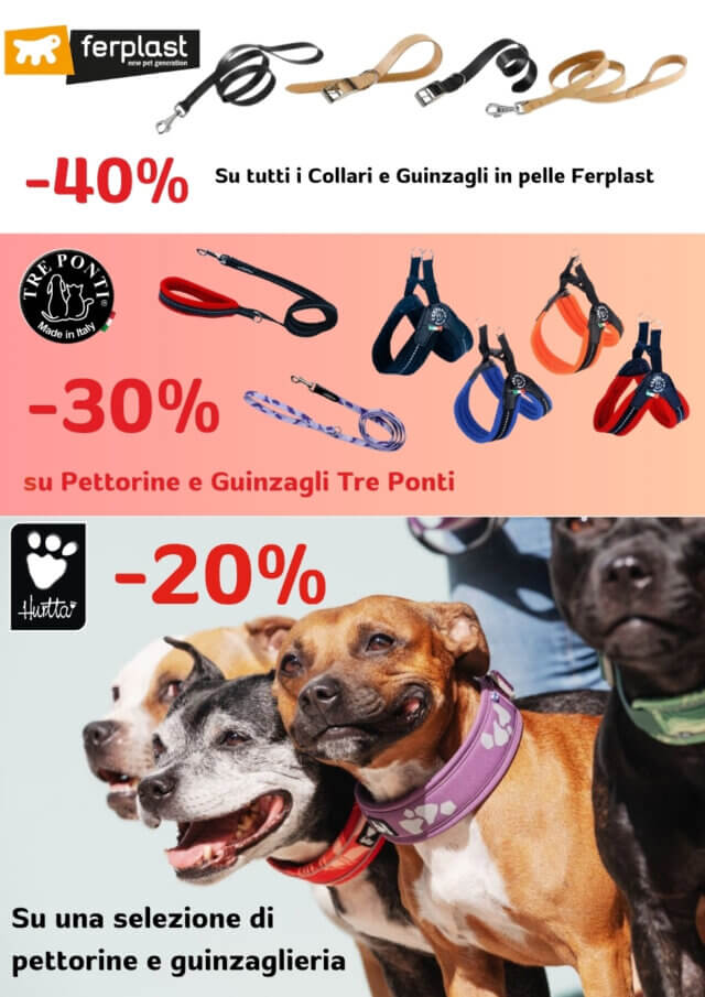 Volantino Fidomania Giugno 2025 00018