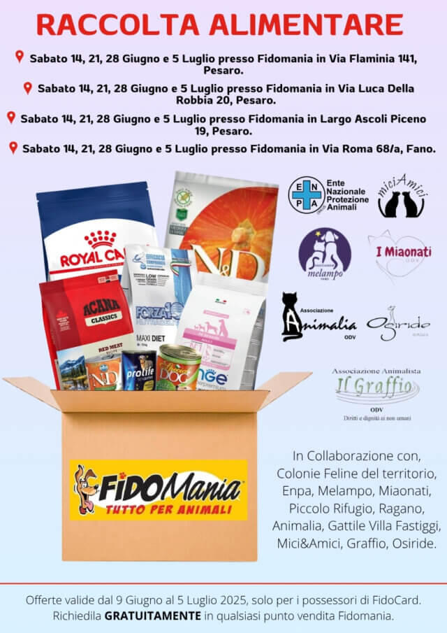 Volantino Fidomania Giugno 2025 00021