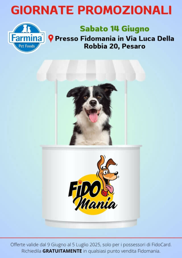 Volantino Fidomania Giugno 2025 00022