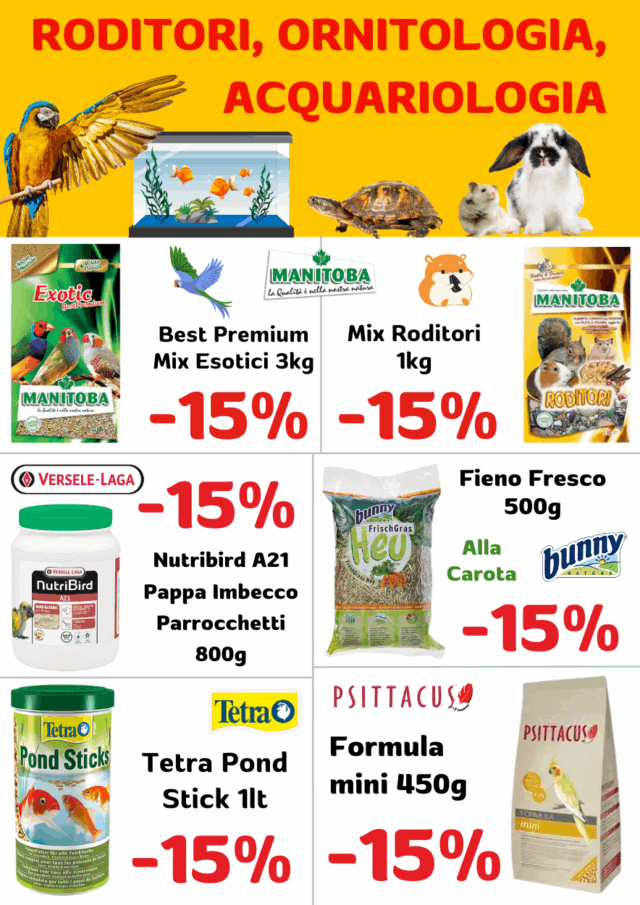 Volantino Fidomania Agosto 2025 00015