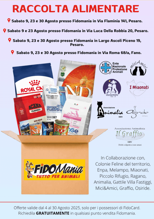 Volantino Fidomania Agosto 2025 00019