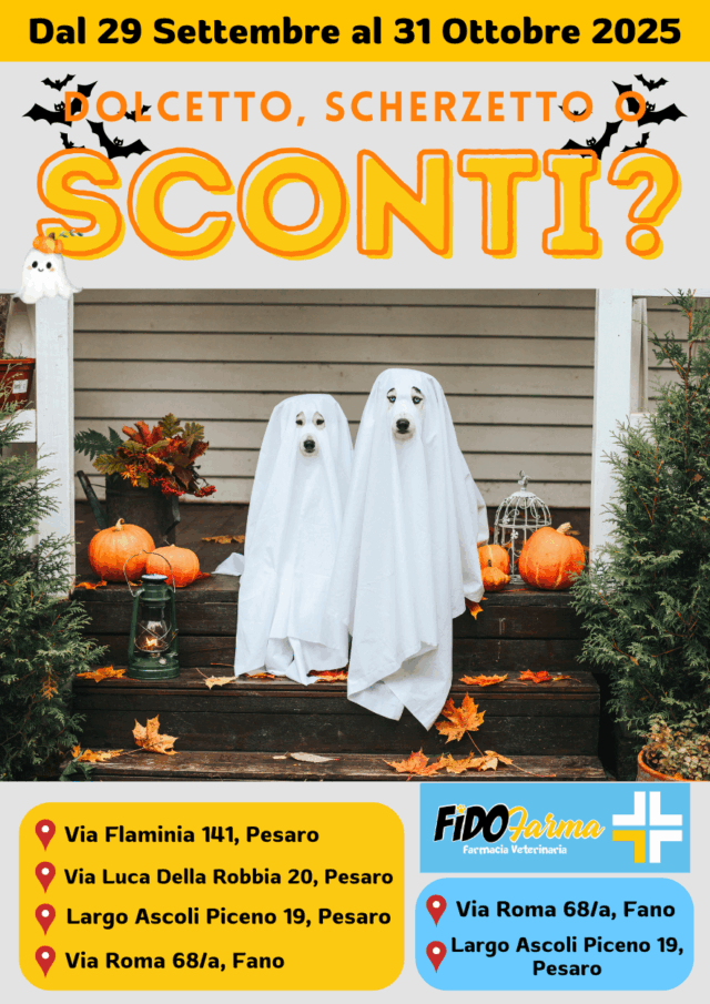 Volantino Fidomania OTTOBRE 2025 su cibo e accessori per animeli domestici.