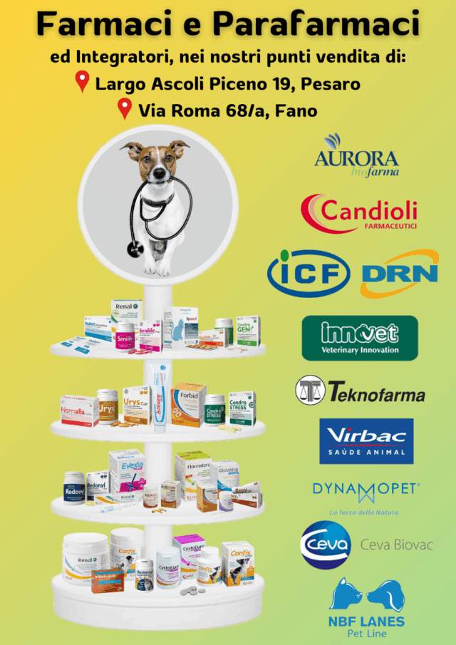 Volantino Fidomania OTTOBRE 2025 su cibo e accessori per animeli domestici.