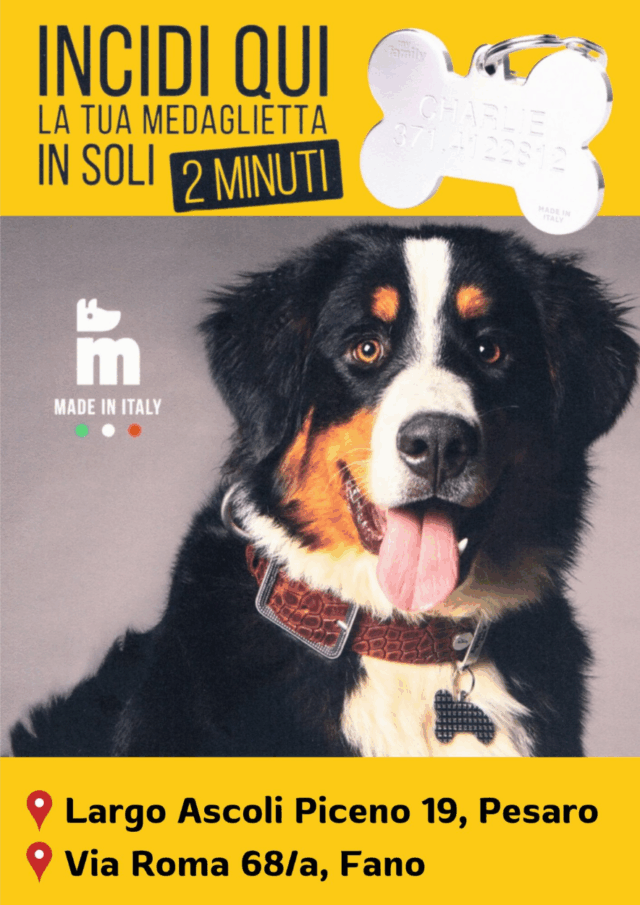 Volantino Fidomania OTTOBRE 2025 su cibo e accessori per animeli domestici.